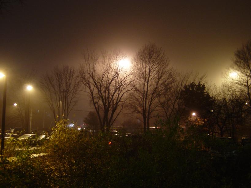 dsc07464.jpg