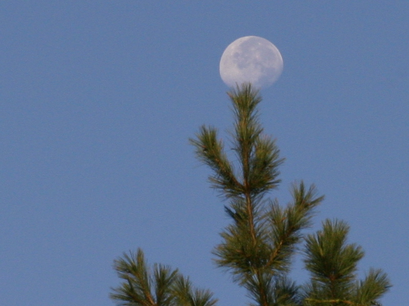 img_1256.jpg