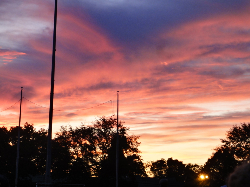 dsc01483.jpg