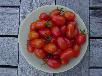 dsc04771.jpg