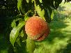 dsc04919.jpg