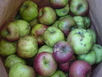 dsc00845.jpg