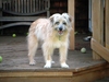 Guarding the deck