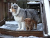 Addie and Henna on the Deck